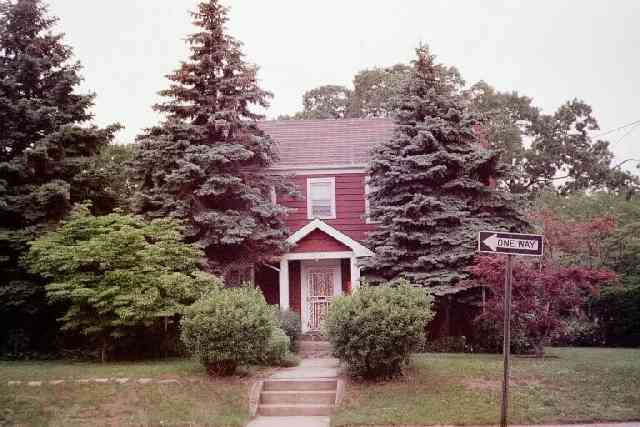 Check out the tree branches on the roof.